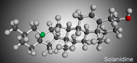 Foto de Solanidine molecule. It is poisonous steroidal alkaloid, plant metabolite, toxin. Molecular model. 3D rendering. Illustration - Imagen libre de derechos