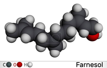 Téléchargez les photos : Molécule de Farnesol. Il est dérivé des terpénoïdes. Il a une odeur délicate et est utilisé en parfumerie. Modèle moléculaire. rendu 3D. Illustration - en image libre de droit