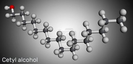 Cetyl alcohol, palmityl alcohol molecule. Used in cosmetic industry, as emulsifying agent in pharmaceutical preparations. Molecular model. 3D rendering. Illustration