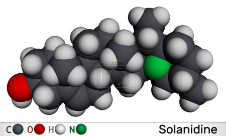 Foto de Solanidine molecule. It is poisonous steroidal alkaloid, plant metabolite, toxin. Molecular model. 3D rendering. Illustration - Imagen libre de derechos