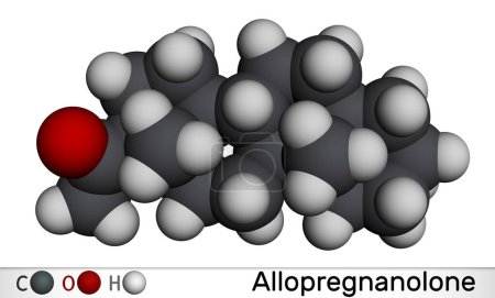 Téléchargez les photos : Allopregnanolone, molécule de brexanolone. Il est neurostéroïde naturel, utilisé pour le traitement de la dépression post-partum PPD. Modèle moléculaire. rendu 3D. Illustration - en image libre de droit