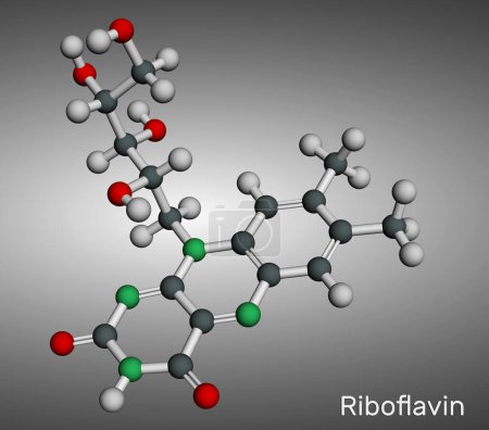 Téléchargez les photos : Riboflavine, molécule de vitamine B2. Il est soluble dans l'eau savine, se trouve dans les aliments, utilisé comme complément alimentaire E101. Modèle moléculaire. rendu 3D. Illustration - en image libre de droit