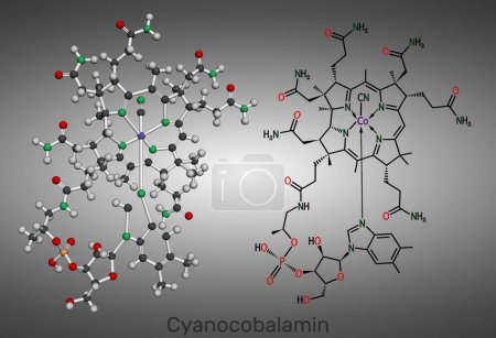 Téléchargez les photos : Cyanocobalamine, molécule de cobalamine. C'est une forme de vitamine B12. "Structural chemical formula and molecule model". Illustration - en image libre de droit
