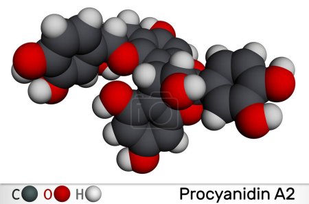 Téléchargez les photos : Procyanidine A2, molécule de proanthocyanidine A2. C'est un produit naturel, utilisé dans la prévention des infections des voies urinaires. Modèle moléculaire. rendu 3D. Illustration - en image libre de droit