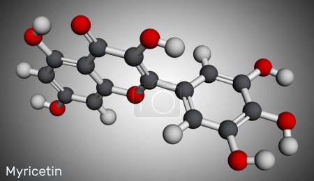 Photo for Myricetin molecule. It is natural product, flavonoid. Molecular model. 3D rendering. Illustration - Royalty Free Image