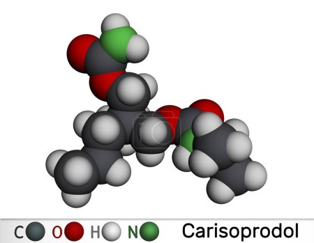 Téléchargez les photos : Molécule de carisoprodol. Il est relaxant musculaire, utilisé dans les affections musculo-squelettiques douloureuses. Modèle moléculaire. rendu 3D. Illustration - en image libre de droit