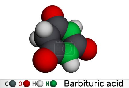 Foto de Ácido barbitúrico, malonilurea o molécula de 6-hidroxiuracilo. Es compuesto principal de medicamentos barbitúricos. Modelo molecular. Representación 3D. Ilustración - Imagen libre de derechos