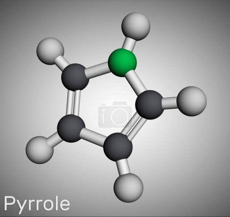 Téléchargez les photos : Molécule de pyrrole. C'est composé aromatique hétérocyclique, produit naturel, trouvé dans Coffea arabica. Modèle moléculaire. rendu 3D. Illustration - en image libre de droit