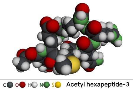 Photo for Acetyl hexapeptide-3, acetyl hexapeptide-8. argireline molecule. Peptide, fragment of SNAP-25, a substrate of botulinum toxin. Molecular model. 3D rendering. Illustration - Royalty Free Image