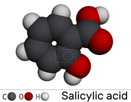 Salicylic acid molecule. It is used in the production of pharmaceuticals, in cosmetics. Molecular model. 3D rendering. Illustration