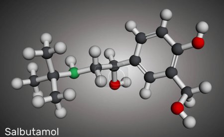 Salbutamol, albuterol  molecule. It is short-acting agonist used in the treatment of asthma and COPD. Molecular model. 3D rendering. Illustration
