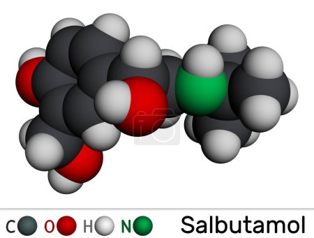 Salbutamol, molécula de albuterol. Es un agonista de acción corta utilizado en el tratamiento del asma y la EPOC. Modelo molecular. Representación 3D. Ilustración
