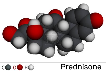 Molécula de prednisona. Glucocorticoide sintético antiinflamatorio derivado de la cortisona. Modelo molecular. Representación 3D. Ilustración