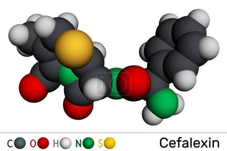 Cefalexina, molécula de cefalexina. Es un antibiótico beta-lactámico con actividad bactericida. Modelo molecular. Representación 3D. Ilustración