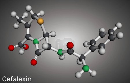 Cefalexin, molécule de céphalexine. C'est un antibiotique bêta-lactame à activité bactéricide. Modèle moléculaire. rendu 3D. Illustration