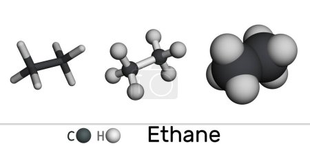 Molécula de etano C2H6. Varios modelos moleculares 3D sobre fondo blanco. Representación 3D. Ilustración