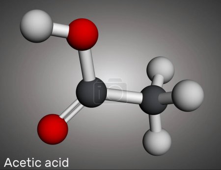 Acetic acid, ethanoic acid, CH3COOH molecule. Molecular model. 3D rendering. Illustration