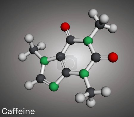 Molécula de cafeína. Modelo molecular. Representación 3D. Ilustración