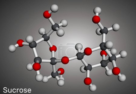 Molécula de azúcar de sacarosa. Modelo molecular. Representación 3D. Ilustración