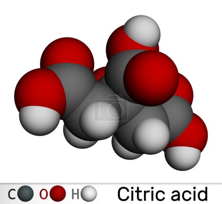 Citric acid molecule. Is used as additive in food, cleaning agents, nutritional supplements. Molecular model. 3D rendering. Illustration