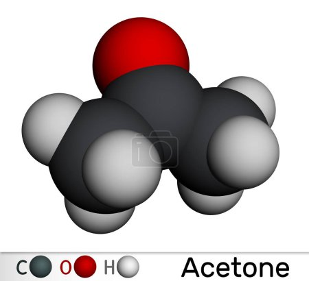 Molécula de acetona cetona. Es solvente orgánico. Modelo molecular. Representación 3D. Ilustración