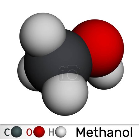 Methanol, Methylalkohol, Molekül. Zuckerersatz und E951 Molekularmodell. 3D-Rendering. Illustration
