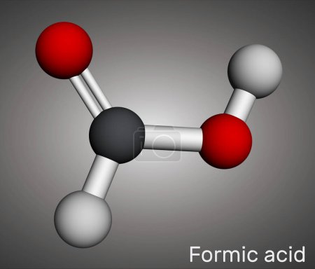 Ácido fórmico, molécula de ácido metanoico CH2O2. Modelo molecular. Representación 3D. Ilustración