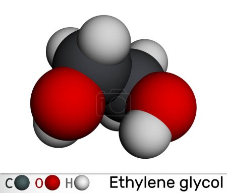 Etilenglicol, molécula de diol. Utilizado para la fabricación de fibras de poliéster y para formulaciones anticongelantes. Modelo molecular. Representación 3D. Ilustración