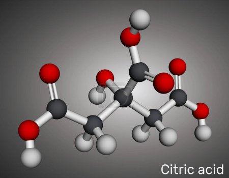 Zitronensäuremolekül. Wird als Zusatzstoff in Lebensmitteln, Reinigungsmitteln und Nahrungsergänzungsmitteln verwendet. Molekulares Modell. 3D-Rendering. Illustration