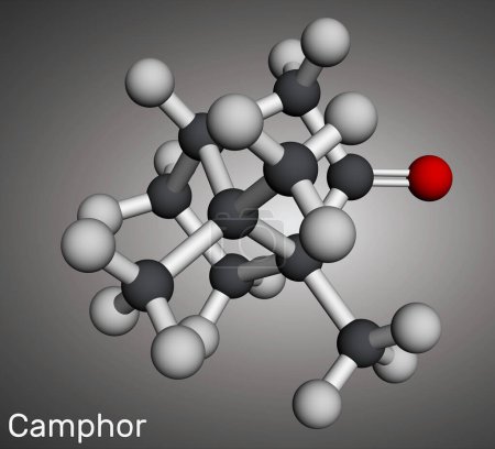 Molécula de alcanfor. Es terpenoide y cetona cíclica. Modelo molecular. Representación 3D. Ilustración