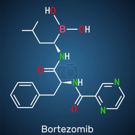 Téléchargez les illustrations : Molécule de bortézomib. C'est un médicament anticancéreux utilisé pour traiter le myélome multiple et le lymphome à cellules du manteau. Formule chimique structurelle sur le fond bleu foncé. Illustration vectorielle - en licence libre de droit
