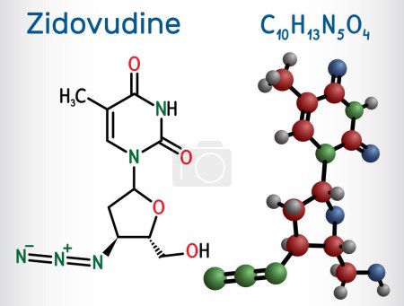 Téléchargez les illustrations : Zidovudine, ZDV, azidothymidine, molécule AZT. Il s'agit d'un didésoxynucléoside synthétique, utilisé dans le traitement du VIH et du sida. Formule chimique structurelle, modèle moléculaire. Illustration vectorielle - en licence libre de droit