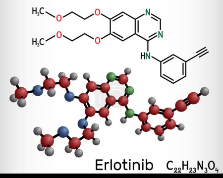 Illustration for Erlotinib drug molecule. It is used to treat lung cancer, NSCLC and pancreatic cancer. Structural chemical formula, molecule model. Vector illustration - Royalty Free Image