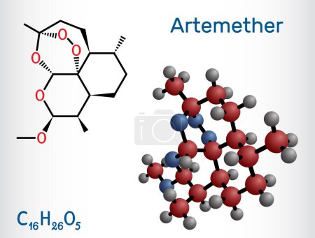 Illustration for Artemether molecule. It is used for the treatment of malaria. Structural chemical formula and molecule model. Vector illustration - Royalty Free Image
