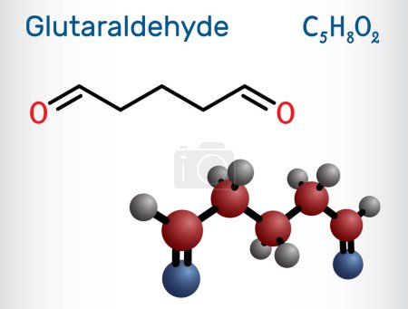 Illustration for Glutaraldehyde, glutaral molecule. It is is used for industrial, laboratory, agricultural, disinfection of medical devices. Structural chemical formula, molecule model. Vector illustration - Royalty Free Image