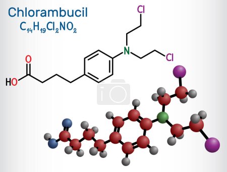 Illustration for Chlorambucil molecule. It is chemotherapy agent used in the treatment of lymphocytic leukemia, malignant lymphomas. Structural chemical formula, molecule model. Vector illustration - Royalty Free Image