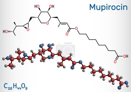 Ilustración de Molécula de mupirocina. Es ungüento antibacteriano utilizado para tratar el impétigo y las infecciones de la piel. Fórmula química estructural, modelo molecular. Ilustración vectorial - Imagen libre de derechos