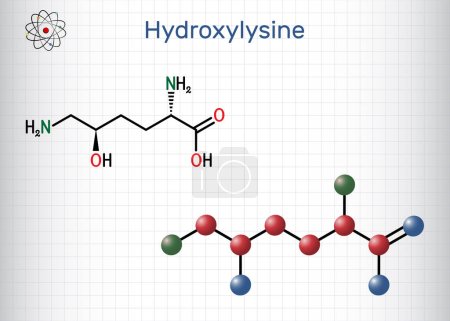 Illustration for Hydroxylysine, Hyl molecule. It is amino acid, human metabolite. Structural chemical formula and molecule model. Sheet of paper in a cage. Vector illustration - Royalty Free Image