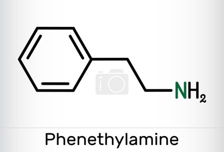 Illustration for Phenethylamine, PEA molecule. It is monoamine alkaloid, central nervous system stimulant in humans. Skeletal chemical formula. Vector illustration - Royalty Free Image