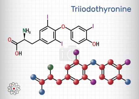 Téléchargez les illustrations : Triiodothyronine, T3, molécule de liothyronine. C'est hormone thyroïdienne, hormone hypophysaire, utilisée pour traiter l'hypothyroïdie. Formule chimique structurelle, modèle moléculaire. Feuille de papier en cage. Illustration vectorielle - en licence libre de droit