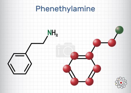 Illustration for Phenethylamine, PEA molecule. It is monoamine alkaloid, central nervous system stimulant in humans. Structural chemical formula, molecule model. Sheet of paper in a cage. Vector illustration - Royalty Free Image