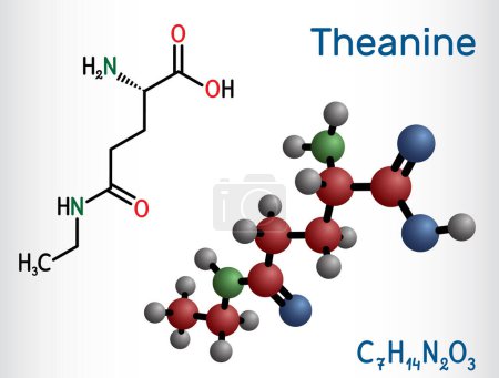 Ilustración de Teanina, molécula de teanina. Es agente neuroprotector, metabolito de la planta, se encuentra en el té verde. Fórmula química estructural, modelo molecular. Ilustración vectorial - Imagen libre de derechos