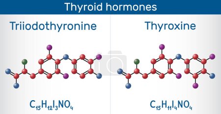 Illustration for Thyroid hormones: Triiodothyronine (T3, levothyroxine) and Thyroxine (T4) molecule. Used to treat hypothyroidism. Molecule model. Vector illustration - Royalty Free Image