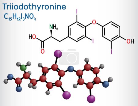 Ilustración de Triyodotironina, T3, molécula de liotironina. Es la hormona tiroidea, hormona de la glándula pituitaria, utilizada para tratar el hipotiroidismo. Fórmula química estructural, modelo molecular. Ilustración vectorial - Imagen libre de derechos
