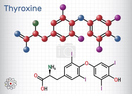 Téléchargez les illustrations : Thyroxine, T4, molécule de lévothyroxine. C'est hormone thyroïdienne, prohormone de thyronine T3, employée pour traiter l'hypothyroïdie. Formule chimique structurelle, modèle moléculaire. Feuille de papier en cage. Illustration vectorielle - en licence libre de droit