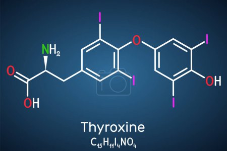 Illustration for Thyroxine, T4, levothyroxine molecule. It is thyroid hormone, prohormone of thyronine T3, used to treat hypothyroidism. Structural chemical formula on the dark blue background. Vector illustration - Royalty Free Image