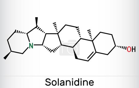 Ilustración de Molécula de solanidina. Es alcaloide esteroide venenoso, metabolito de la planta, toxina. Fórmula química esquelética. Ilustración vectorial - Imagen libre de derechos