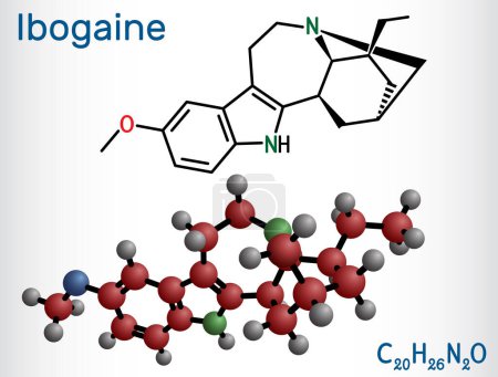 Illustration for Ibogaine molecule. It is monoterpenoid indole alkaloid, psychoactive substance, hallucinogen, psychedelic. Structural chemical formula, molecule model. Vector illustration - Royalty Free Image