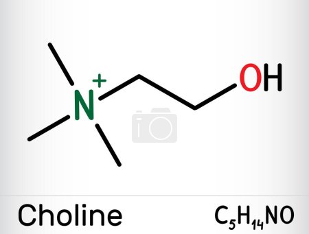 Téléchargez les illustrations : Choline vitamine comme molécule nutritive essentielle. C'est de la vitamine B4. Formule chimique squelettique. Illustration vectorielle - en licence libre de droit