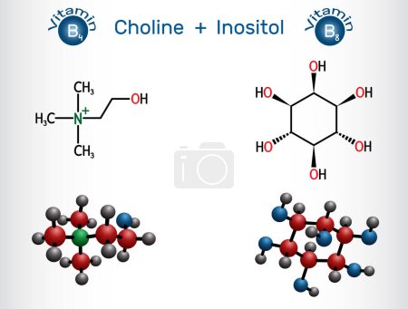 Illustration for Choline and  inositol vitamin-like essential nutrien molecule. Vitamin B4 and Vitamin B8, combined together in supplements. Structural chemical formula, molecule model. Vector illustration - Royalty Free Image